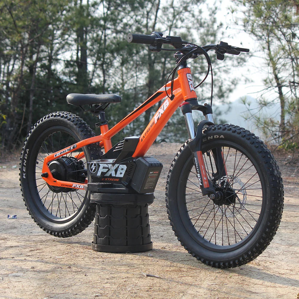 HKM-100819 Electric Balance Bike for Kids 20 Inch 36V 800W with Pedal, Aluminum Frame, Hydraulic Brake, 3 Speeds, Range 12-17km