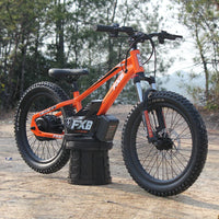 HKM-100819 Electric Balance Bike for Kids 20 Inch 36V 800W with Pedal, Aluminum Frame, Hydraulic Brake, 3 Speeds, Range 12-17km