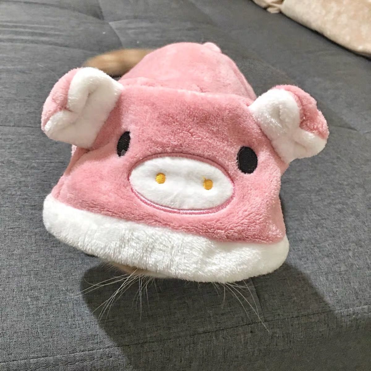 HKM-1009469 Cozy Cartoon Coral Fleece Pet Clothing for Cats and Dogs - Blue Cat British Shorthair Perfect for Autumn and Winter