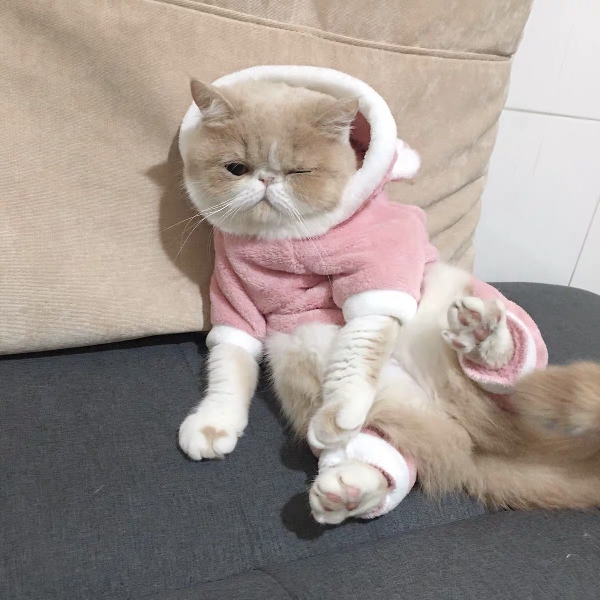 HKM-1009469 Cozy Cartoon Coral Fleece Pet Clothing for Cats and Dogs - Blue Cat British Shorthair Perfect for Autumn and Winter