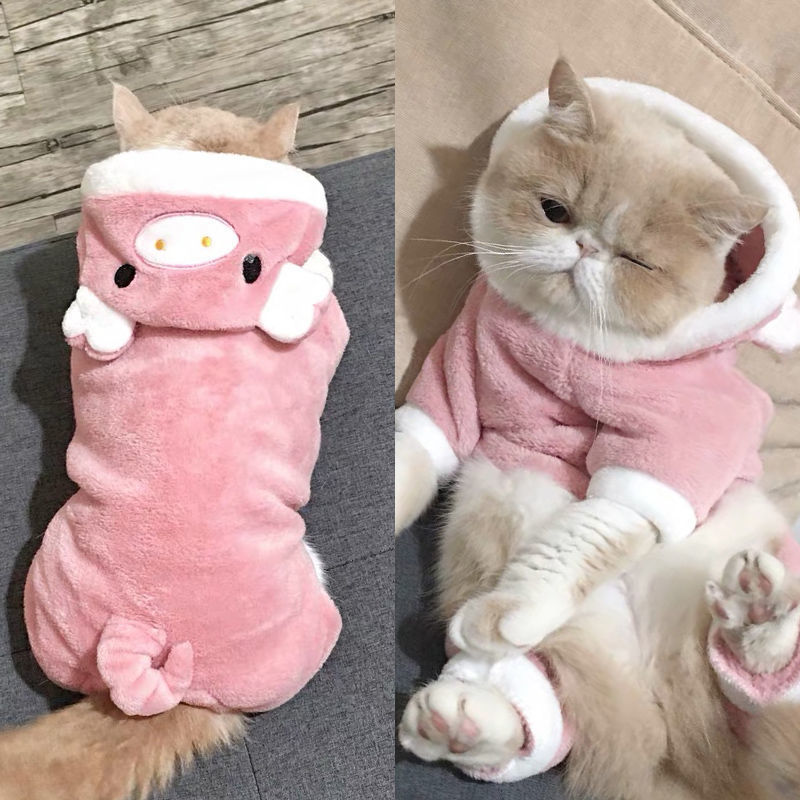 HKM-1009469 Cozy Cartoon Coral Fleece Pet Clothing for Cats and Dogs - Blue Cat British Shorthair Perfect for Autumn and Winter