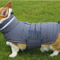 HKM-1015485 Warm Waterproof Dog Coat with Thicken Vest for Medium to Large Dogs