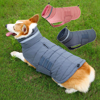 HKM-1015485 Warm Waterproof Dog Coat with Thicken Vest for Medium to Large Dogs