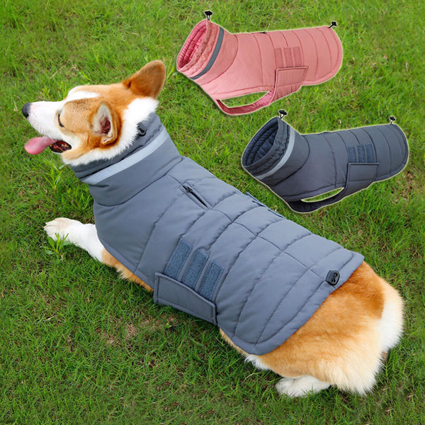 HKM-1015485 Warm Waterproof Dog Coat with Thicken Vest for Medium to Large Dogs