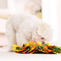 HKM-1015869 Pet Jungle Feeding Mat - Washable Sniffing Blanket for Engaging Pet Playtime - 55x50CM