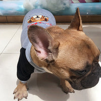 HKM-1016125 Cozy Cashmere-Look Dog Apparel for Small and Medium Breeds