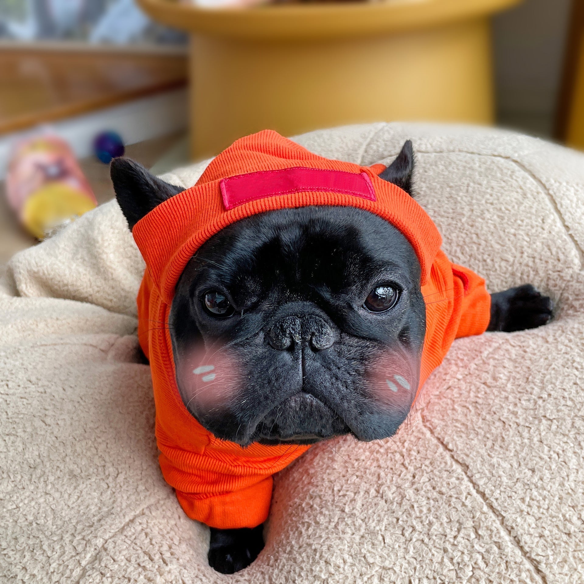 HKM-1024957 Casual Cotton Pet Shirt for Small and Medium Dogs in Black, White, Orange, Light Blue - Autumn/Winter Wear
