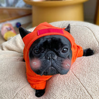 HKM-1024957 Casual Cotton Pet Shirt for Small and Medium Dogs in Black, White, Orange, Light Blue - Autumn/Winter Wear