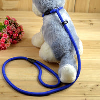 HKM-1026365 Comfortable Adjustable Nylon Traction Training Leash for Dogs
