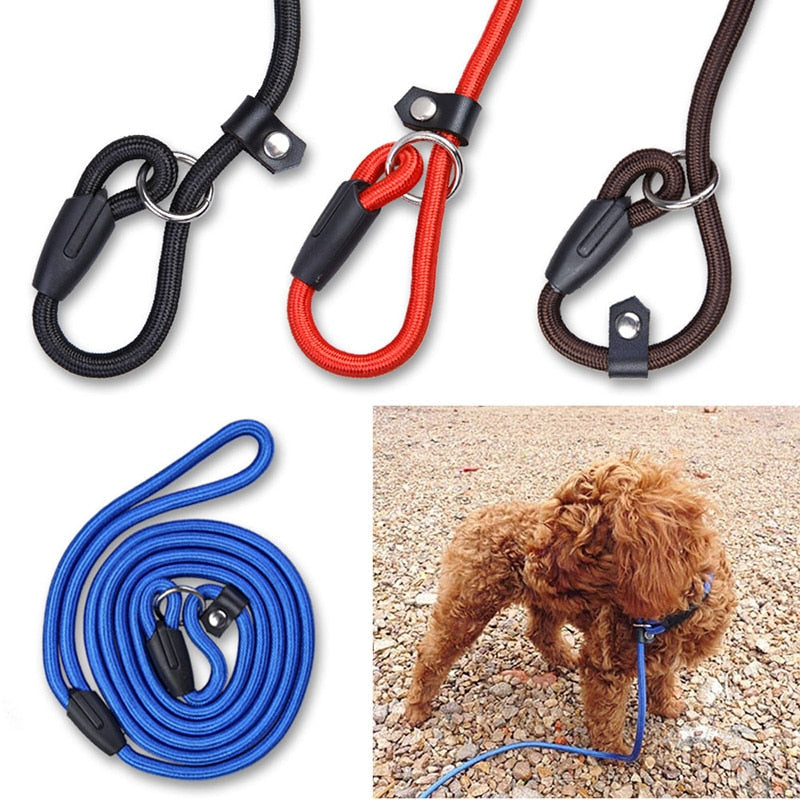 HKM-1026365 Comfortable Adjustable Nylon Traction Training Leash for Dogs