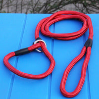 HKM-1026365 Comfortable Adjustable Nylon Traction Training Leash for Dogs