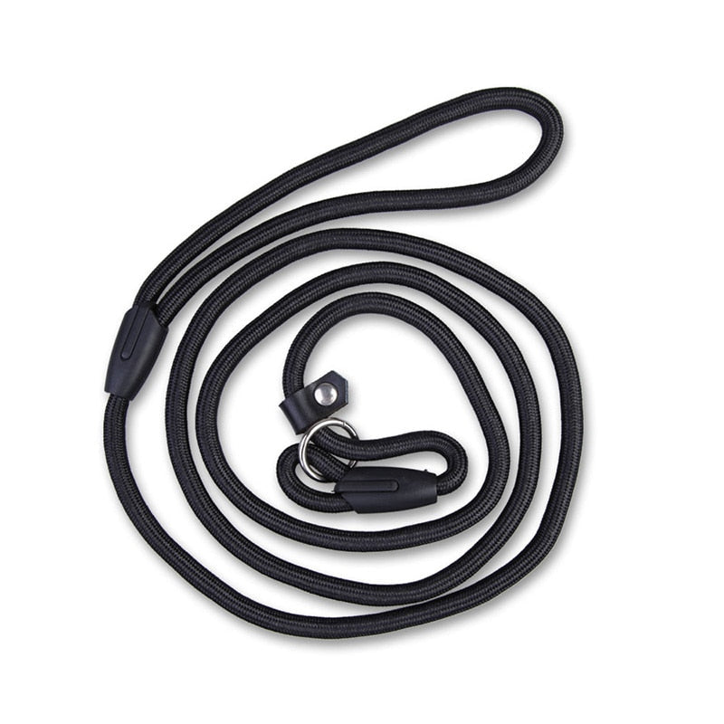 HKM-1026365 Comfortable Adjustable Nylon Traction Training Leash for Dogs