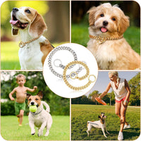 HKM-1028541 Stainless Steel Double Ring Dog Chain for All Seasons - Titanium Steel, Various Sizes Available