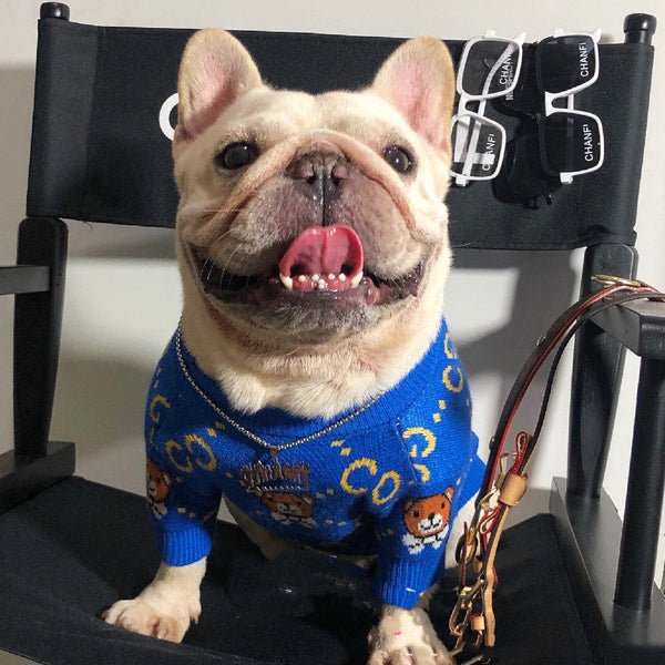 HKM-1030333 Cozy Blue Bear Wool Sweater for Dogs - Autumn and Winter Fashion