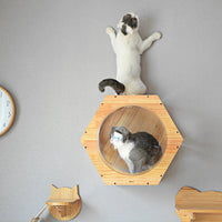 HKM-1042109 Solid Wood Cat Scratching Post with Drilling Hole - Modern Cat Tree Toy