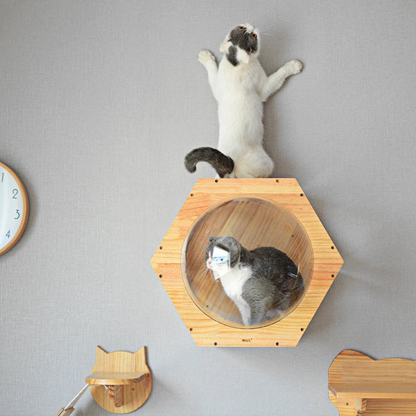HKM-1042109 Solid Wood Cat Scratching Post with Drilling Hole - Modern Cat Tree Toy