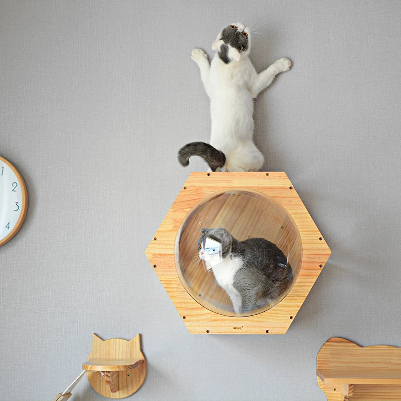 HKM-1042109 Solid Wood Cat Scratching Post with Drilling Hole - Modern Cat Tree Toy