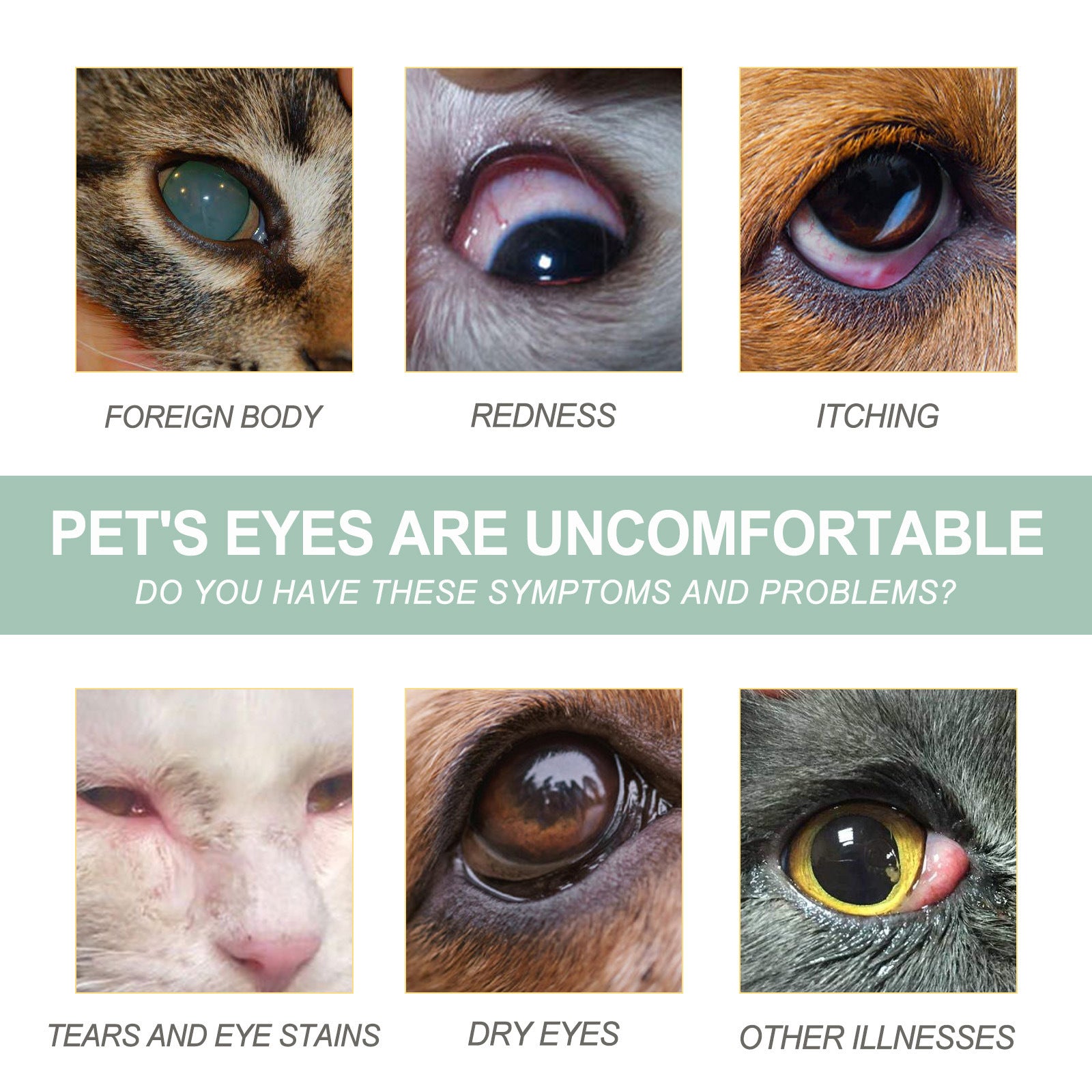 HKM-1043901 Pet Eye Care Drops for Dogs and Cats - 100ml