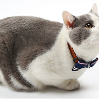 HKM-1045821 Stylish Adjustable Pet Tie for Casual or Formal Occasions