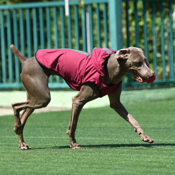 HKM-1046205 Hooded Waterproof Dog Raincoat - Durable Polyester, Available in Multiple Colors and Sizes