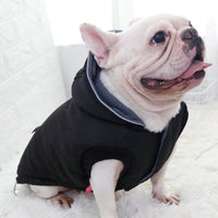 HKM-1048253 Thickened Padded Jacket for Dogs - Casual Black Pet Vest