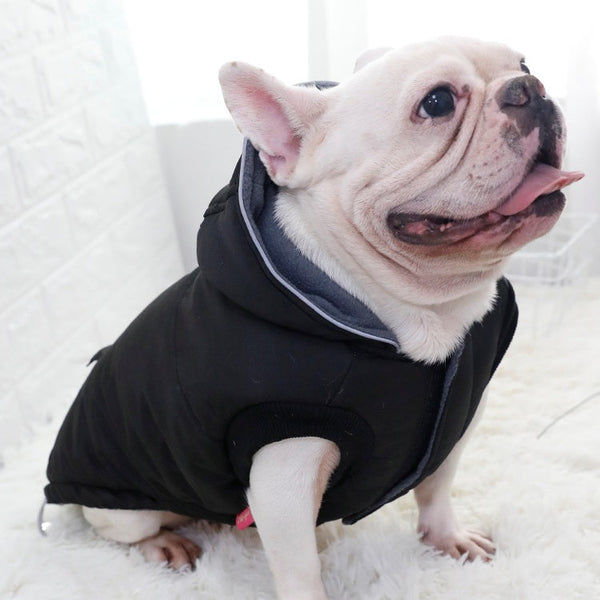HKM-1048253 Thickened Padded Jacket for Dogs - Casual Black Pet Vest