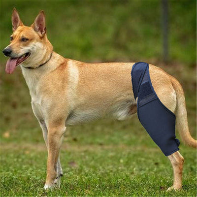 HKM-1050429 Dog Thigh Protector for Front and Rear Leg Fractures, Neoprene Fabric Mesh, Casual Design, Size S-XL, Black