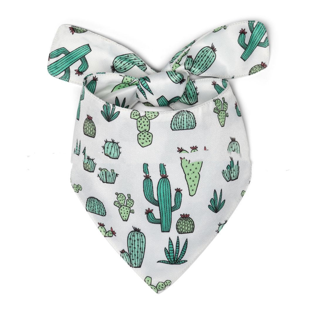 HKM-1056957 Summer Floral Pattern Dog Scarf and Saliva Towel in Various Colors