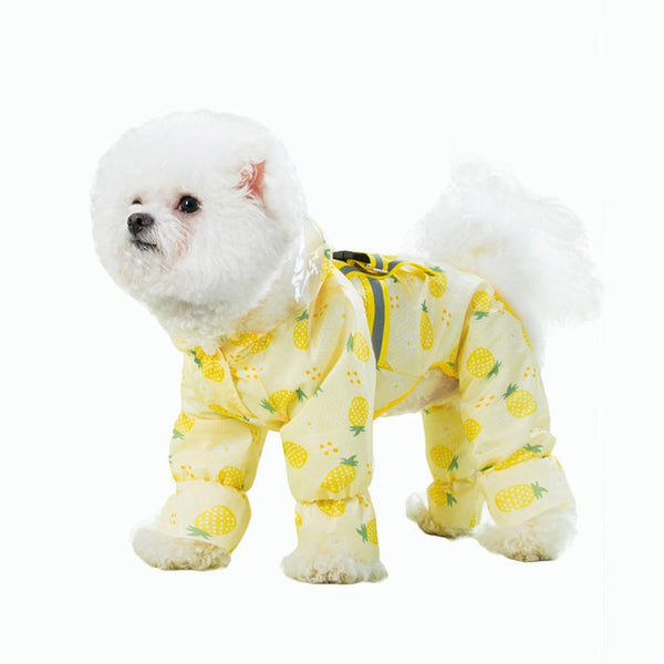 HKM-105747 Waterproof Raincoat for Dogs with Fun Fruit Prints in Multiple Sizes