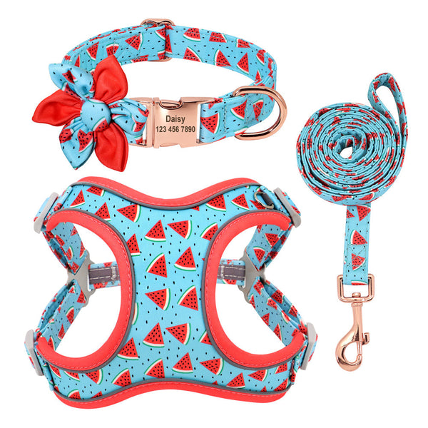 HKM-1058621 Small Dog Leash and Collar Set for Comfort and Control - Includes Towing Rope and Strap