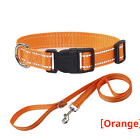 HKM-1059133 Reflective Striped Dog Collar with Outdoor Rope - Multiple Colors Available