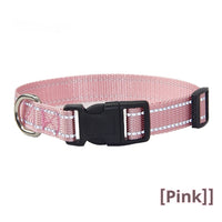 HKM-1059133 Reflective Striped Dog Collar with Outdoor Rope - Multiple Colors Available