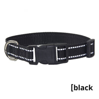 HKM-1059133 Reflective Striped Dog Collar with Outdoor Rope - Multiple Colors Available