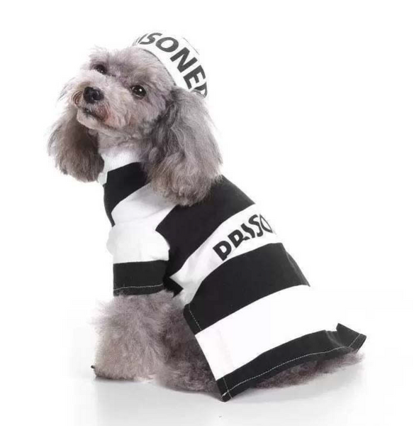 HKM-1063101 Festive Knitted Pet Sweater with Hat - Casual Style for All Sizes