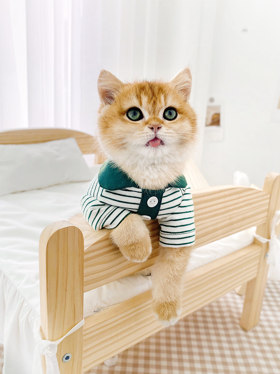 HKM-1063485 Striped Polo Shirt for Cats in Army Green, Tender Yellow, and Big Red
