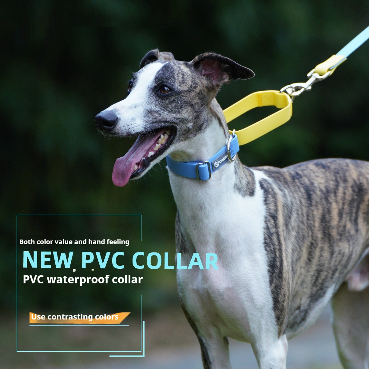HKM-1064893 Waterproof Plastic Traction Collar and Rope Set for Pets - Multiple Color Options Available