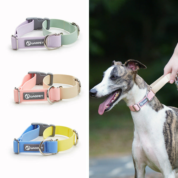 HKM-1064893 Waterproof Plastic Traction Collar and Rope Set for Pets - Multiple Color Options Available