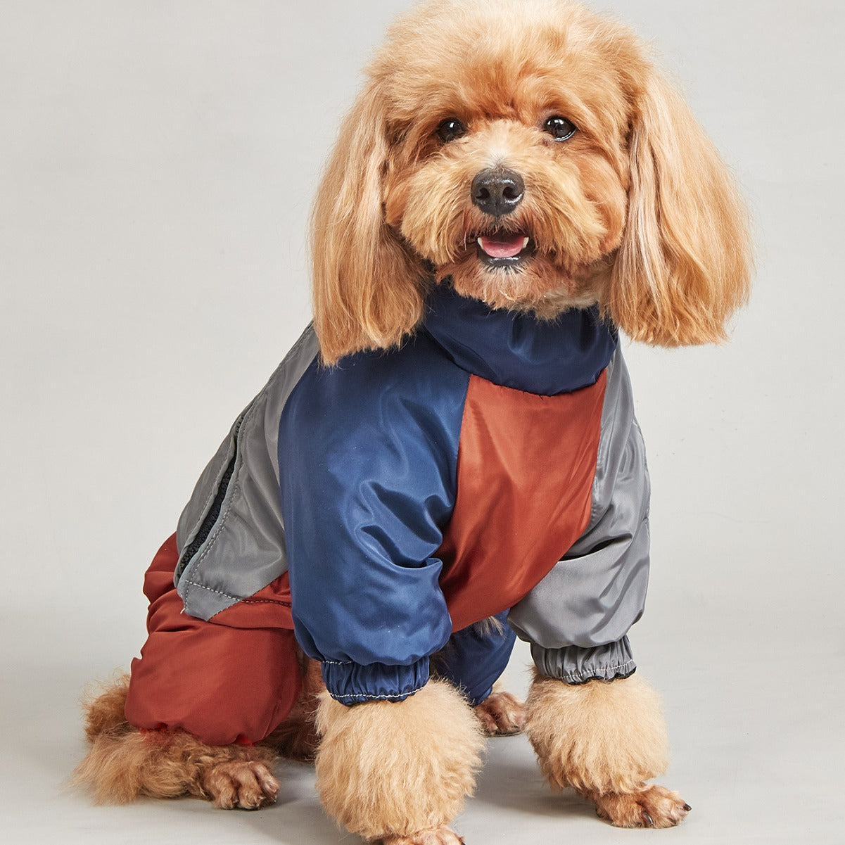 HKM-1069501 Cozy Cotton-Padded Winter Dog Clothing in Various Colors and Sizes