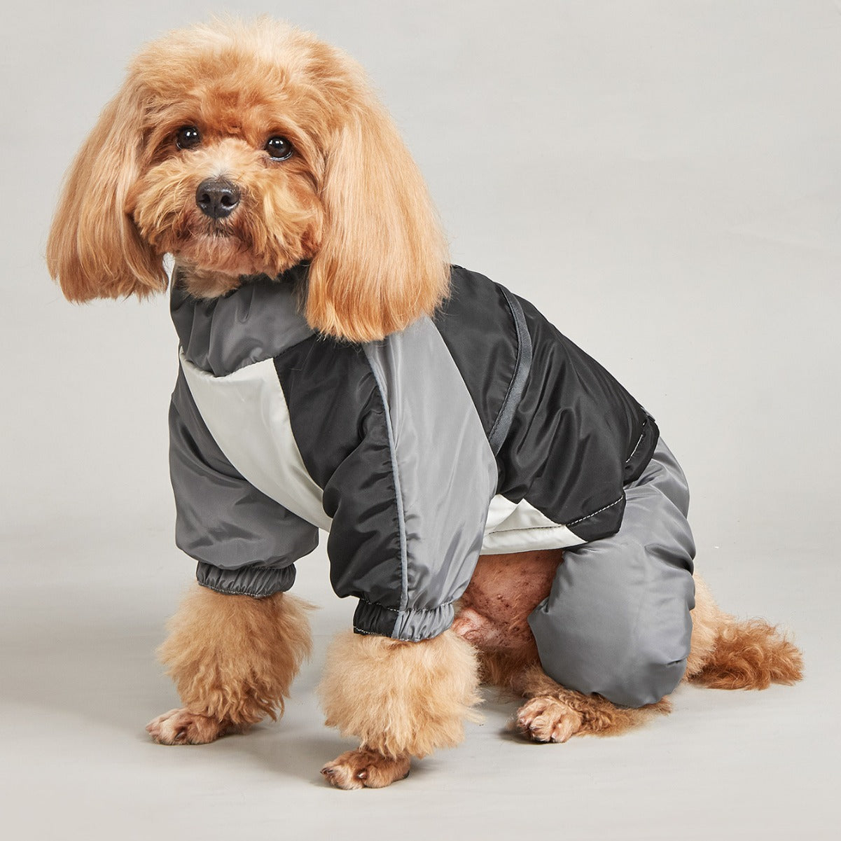 HKM-1069501 Cozy Cotton-Padded Winter Dog Clothing in Various Colors and Sizes