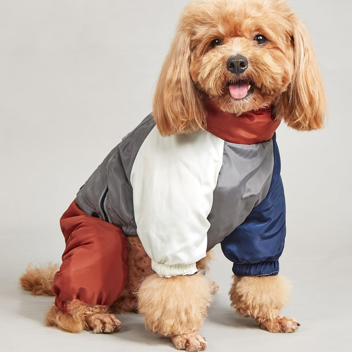HKM-1069501 Cozy Cotton-Padded Winter Dog Clothing in Various Colors and Sizes