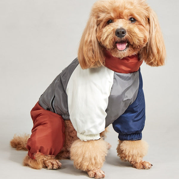 HKM-1069501 Cozy Cotton-Padded Winter Dog Clothing in Various Colors and Sizes