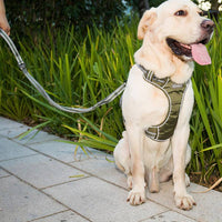 HKM-106963 Explosion-proof Elastic Retractable Dog Leash - Yellow/Army Green, Max Pull Force 280KG, 1.45M Length