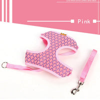 HKM-1070141 Durable Polyester Dog and Cat Leash for Traction and Control