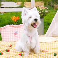 HKM-1070653 Stylish Flower and Fruit Pattern Pet Leash and Harness Set in Pineapple Yellow and Peach Powder