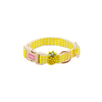 HKM-1070653 Stylish Flower and Fruit Pattern Pet Leash and Harness Set in Pineapple Yellow and Peach Powder