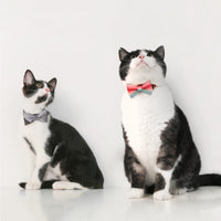 HKM-1072829 Cat Bow Tie Pet Collar in Various Stylish Designs, Adjustable Fit for Neck Circumference 18-30cm