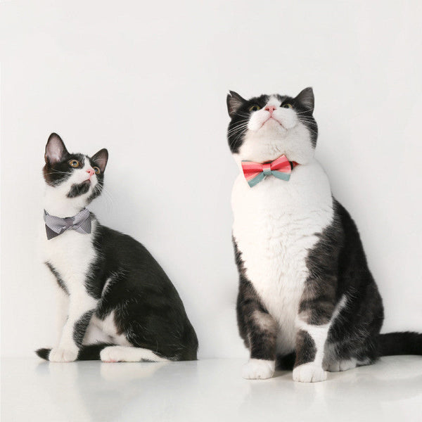 HKM-1072829 Cat Bow Tie Pet Collar in Various Stylish Designs, Adjustable Fit for Neck Circumference 18-30cm