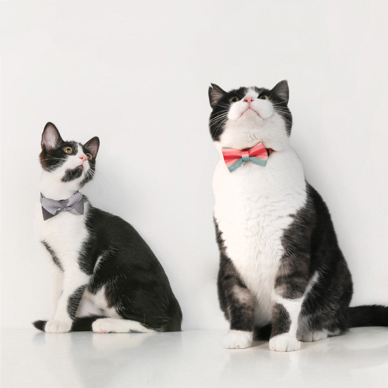 HKM-1072829 Cat Bow Tie Pet Collar in Various Stylish Designs, Adjustable Fit for Neck Circumference 18-30cm