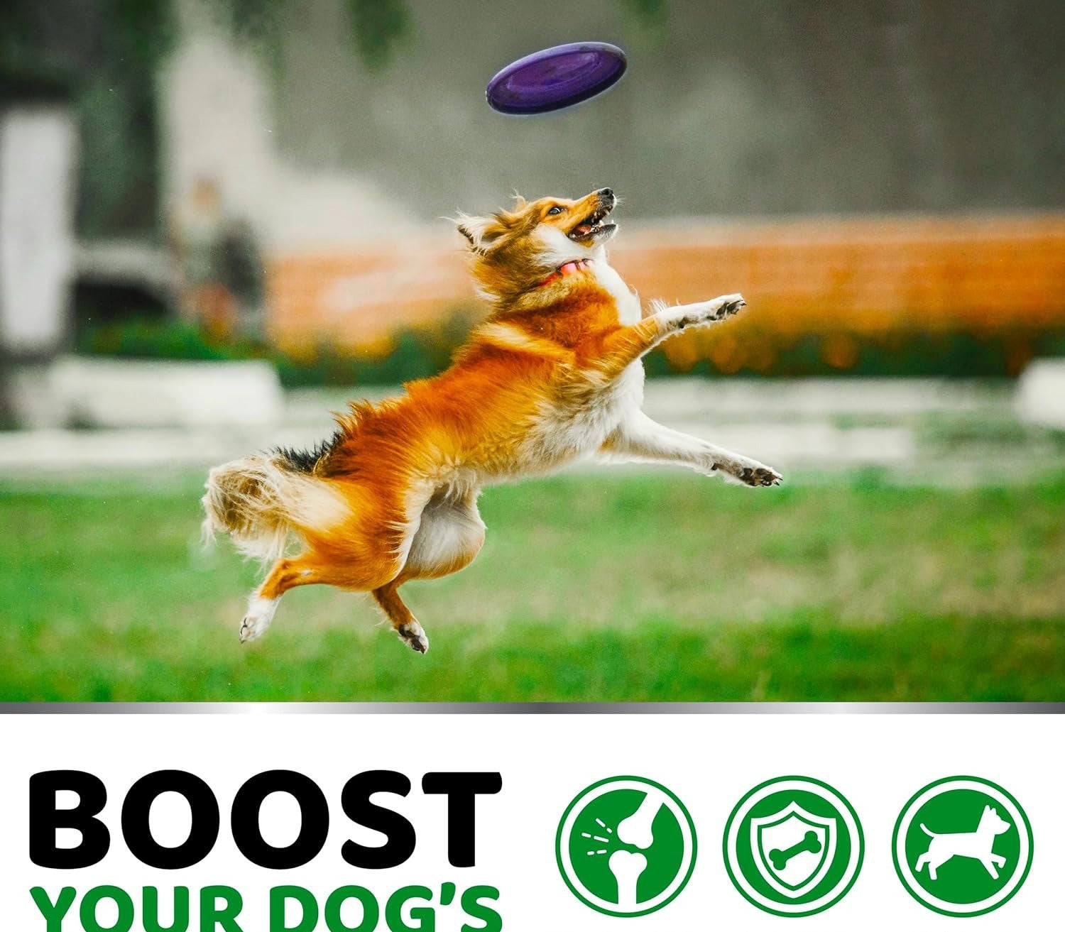 HKM-1076669 Chondroitin Soft Particles for Pet Hip and Joint Support