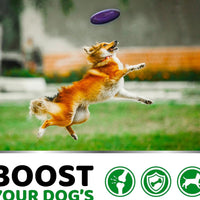 HKM-1076669 Chondroitin Soft Particles for Pet Hip and Joint Support
